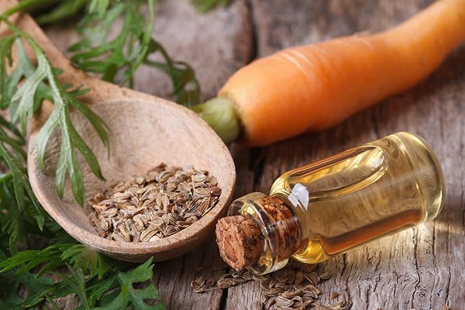 organic pure oil OPO Carrot Seed Oil - 4 oz Glass & Dropper - Pure Unrefined Cold Pressed Non GMO Vegan Carrier Oil for Hair Skin Face Body Nails Cuticles Daily Use Moisturizer