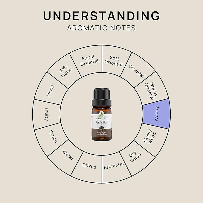 VINEVIDA Pine Scotch Essential Oil - Undiluted - DIY Candle Scents - 10 mL for Soap Making - Safe for Skin