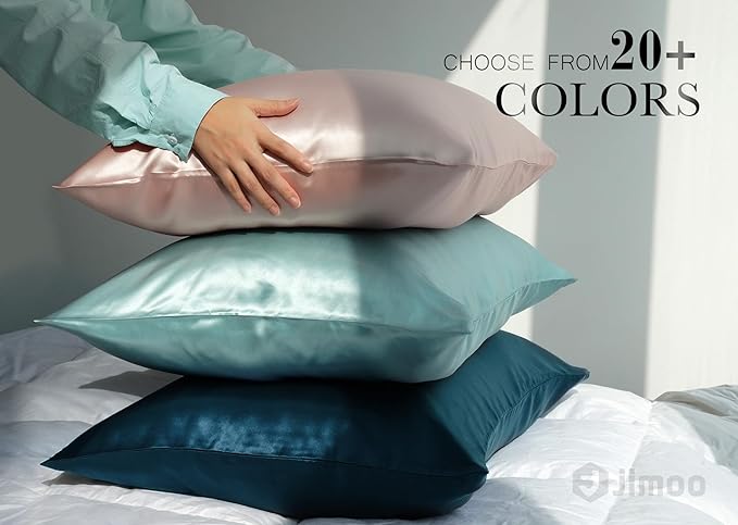 100% Mulberry Silk Pillowcase for Hair and Skin, 22 Momme Pure Natural Silk Pillow Case Both Sided with Zipper, Pillow Cover for Women Mom Men (Airy Blue, Queen 20''×30'', 1 Pack)