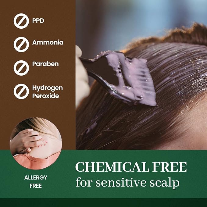 Dongsung Herb Speedy Color Cream Natural Black – Korean Herbal Vegan Hair Dye, PPD-Free, Ammonia-Free, Hypoallergenic – 100% Gray Coverage Odorless Dermatologically Tested Quick 20-Minute Application