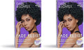 SoftSheen-Carson Dark and Lovely Fade Resist Rich Conditioning Color, Midnight Blue 382 (Pack of 2)