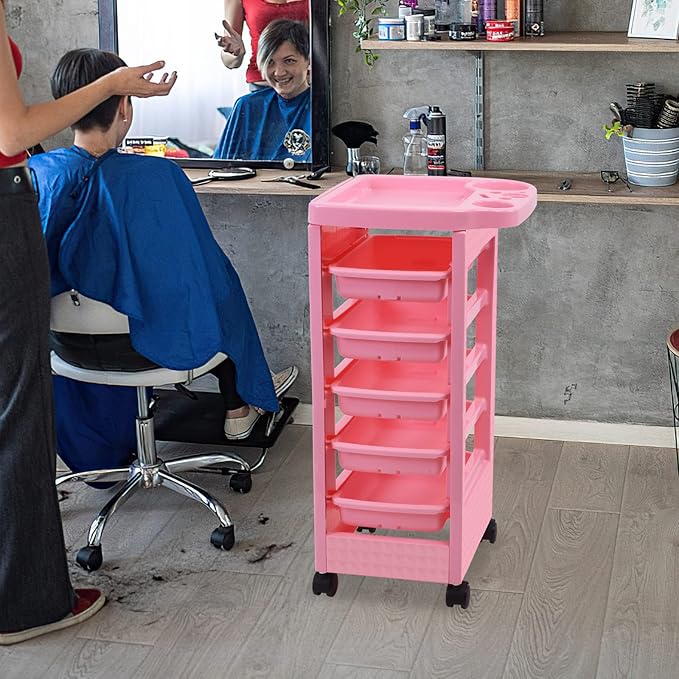 Paddie Pink Salon Trolley Cart with Wheels/5 Drawers/Dryer Holder/Tint Bowl Slot for Hair Stylist, Beauty Equipment