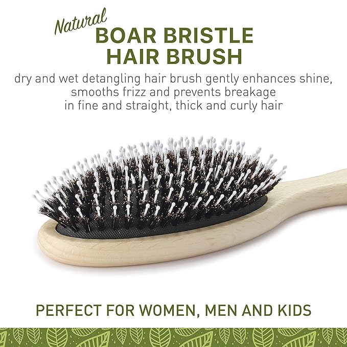 Natural Boar Bristle Hair Brush for Women, Men, Kids; Dry and Wet Detangling Hair Brush Gently Enhances Shine, Smooths Frizz and Prevents Breakage in Fine and Straight, Thick and Curly Hair (oval)