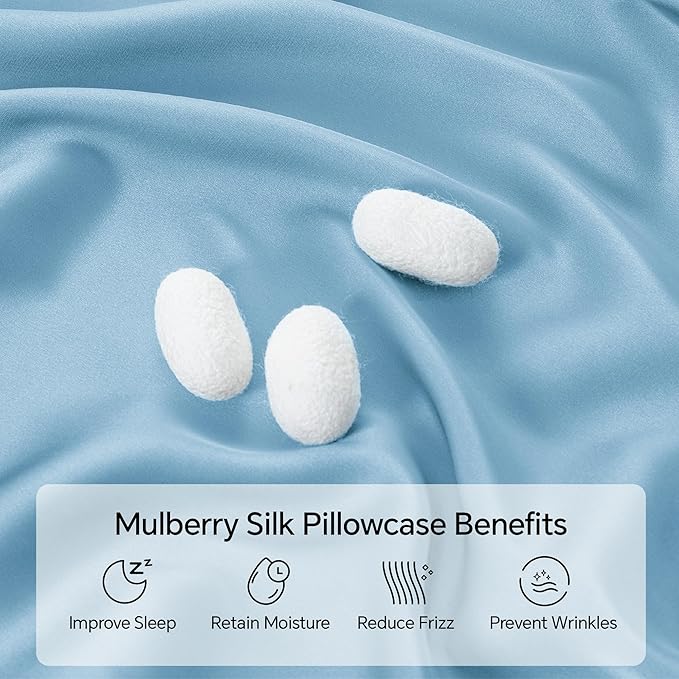 INFIIXSO Body Pillow Cover with Zipper, Luxury Mulberry Silk Body Pillow Case 20x54 Inches, Ultra Smooth and Soft Cooling Long Pillowcase, Gift for Women, Men(Light Blue)
