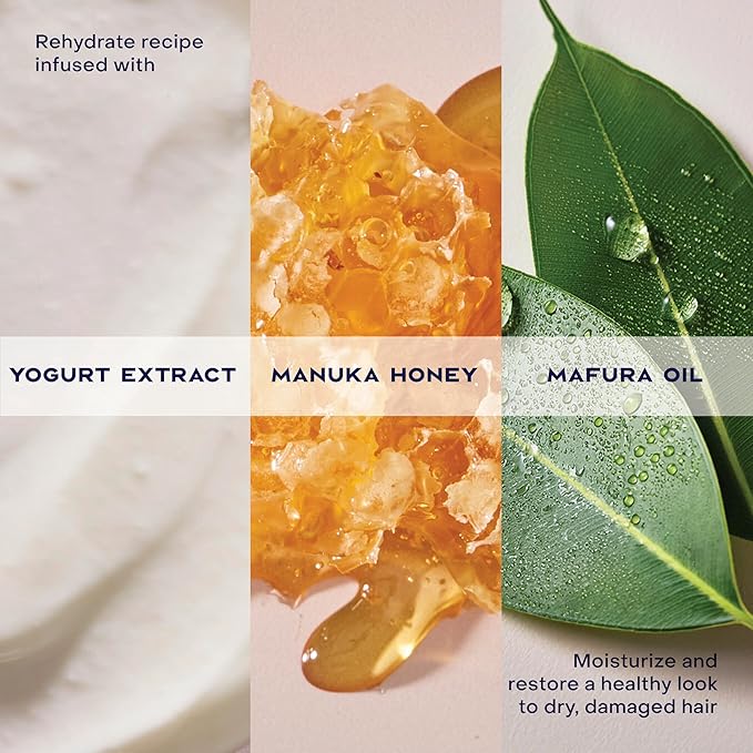 SheaMoisture Hydrate & Repair Condtioner Manuka Honey and Yogurt Conditioner for Damaged Hair Shea Butter Conditioner 13 oz