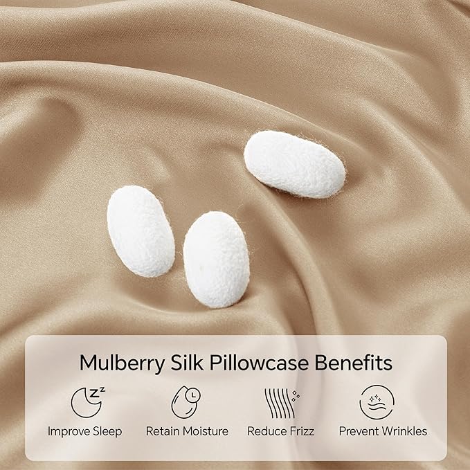 INFIIXSO Silk Pillow Cases 2 Pack Standard Size, Ultra Smooth & Soft Mulberry Silk Pillow Case for Hair and Skin, Breathable Cooling Silk Pillowcase with Hidden Zipper (Champagne, 20x26 Inches)