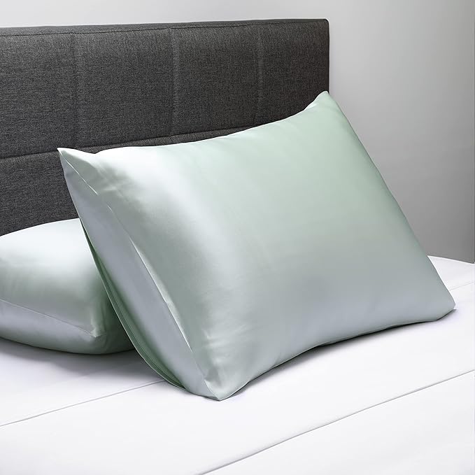 Fishers Finery 19mm 100% Pure Mulberry Silk Pillowcase, Quality Tested (Light Green, K)